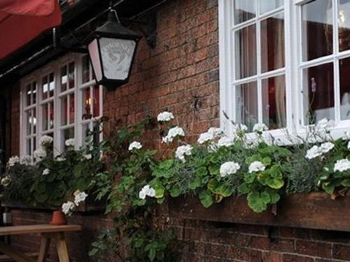 The Bull On The Green Hotel Lewes Exterior photo